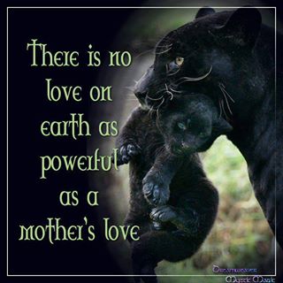motherly love